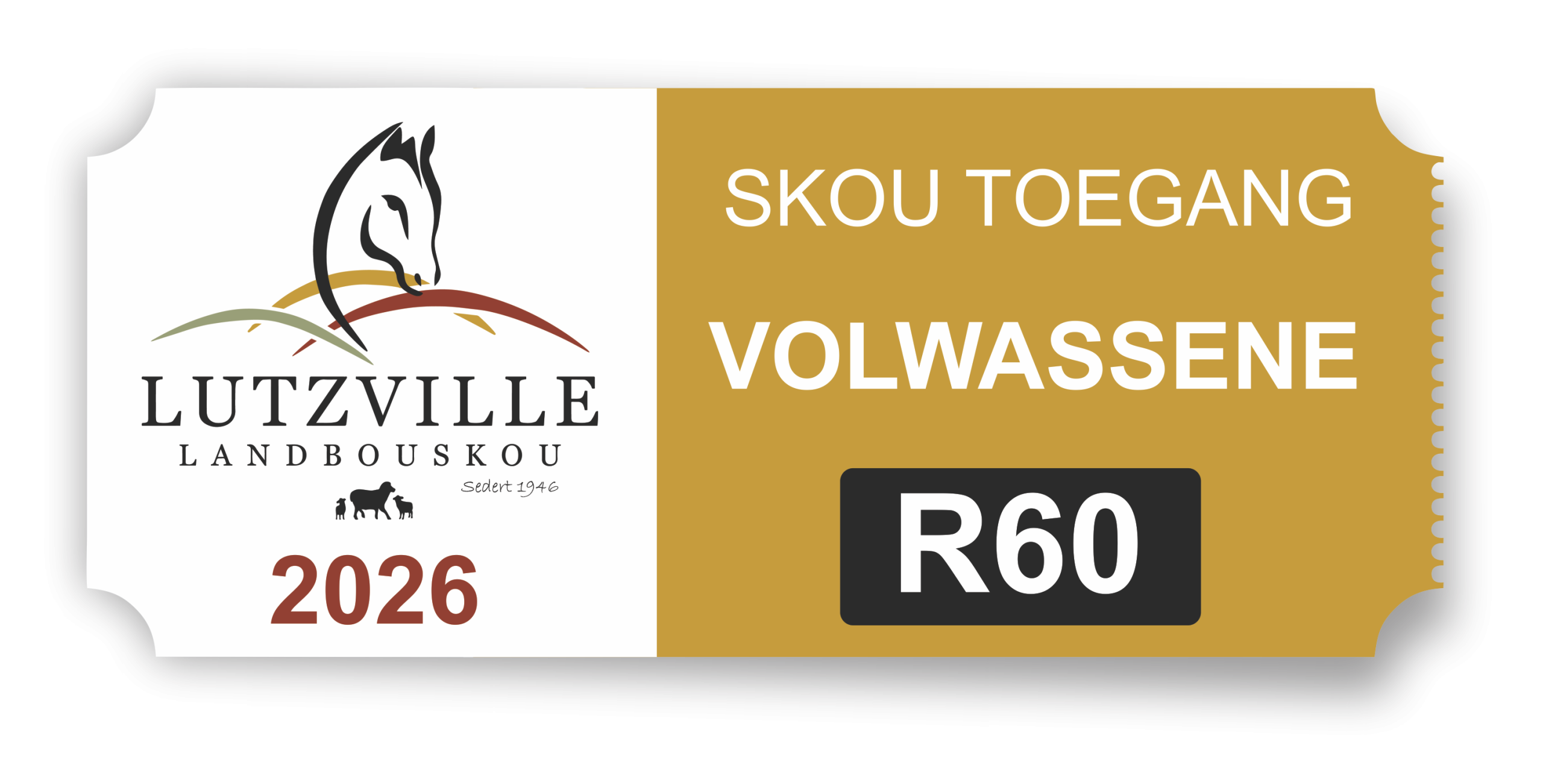 VOLASSENE KAARTJIE